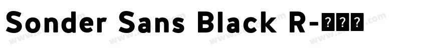 Sonder Sans Black R字体转换